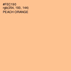 #FEC190 - Peach Orange Color Image